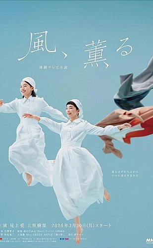 大哥小助理